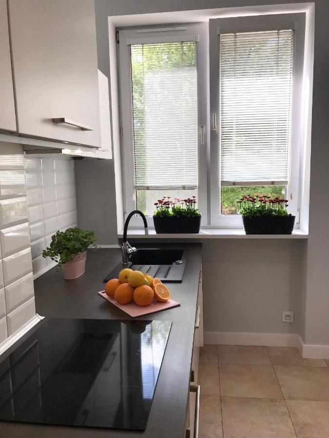 Klimatyczny Apartament Pod Ratuszem -Ul. Slaska 2 Częstochowa Exteriör bild